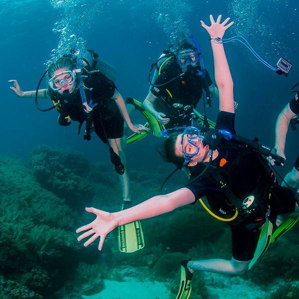 padi idc bali