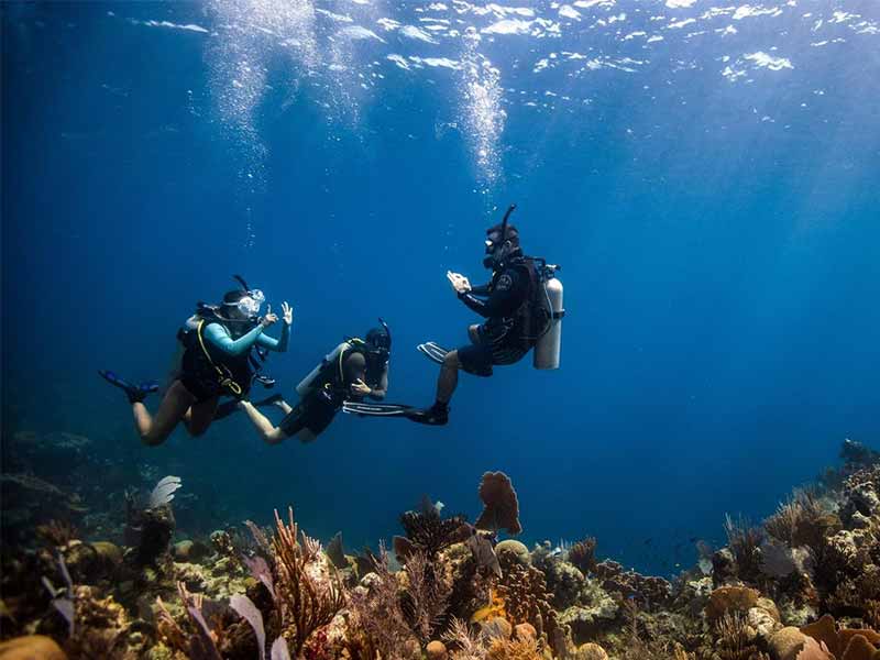 padi-scuba-diving-course
