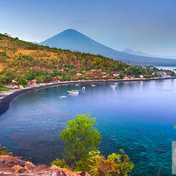 amed bali