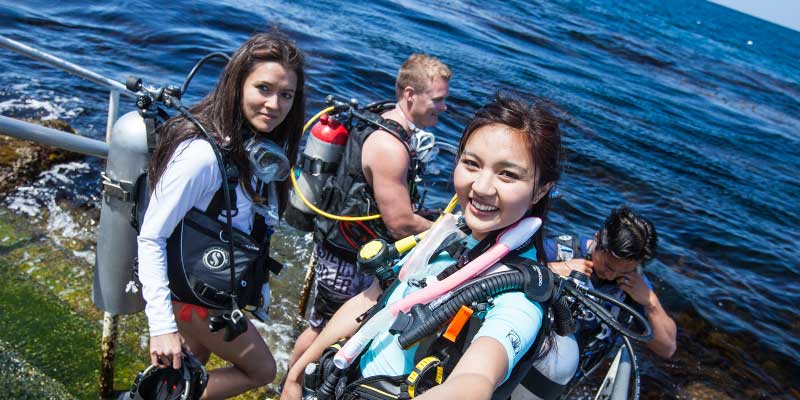 padi diving career