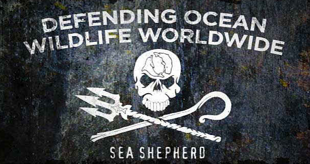 sea shepherd tshirts