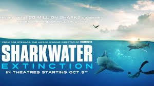 Sharkwater – Part II
