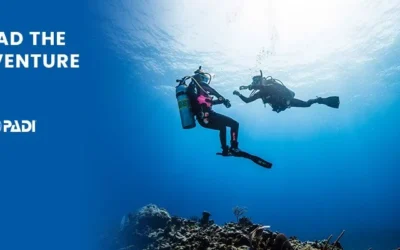 Divemaster introduction