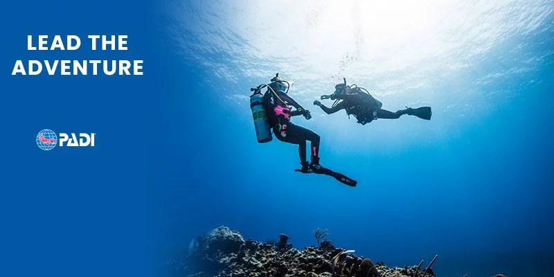 Divemaster introduction