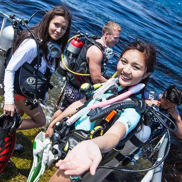 padi idc dive teach inspire