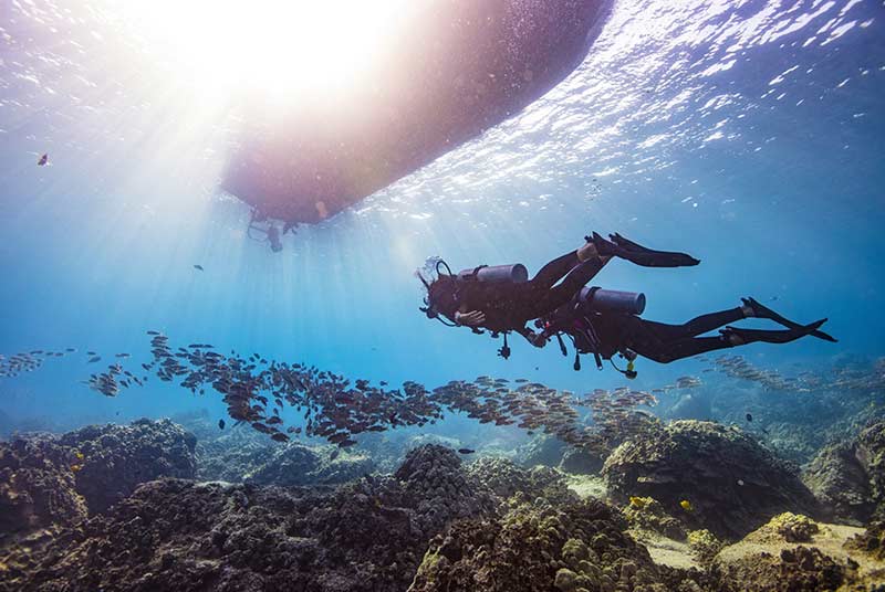 Doing your PADI IDC – is it worth the investment?