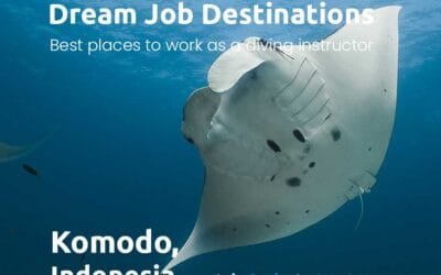 Traumhafte Arbeitsplätze: Komodo