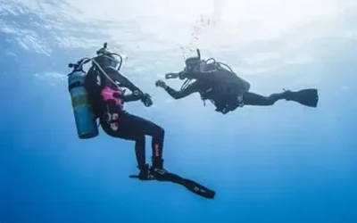 Wie man ein PADI Tauchlehrer wird