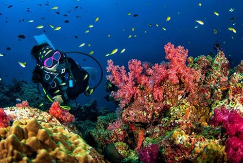 scuba diving in Koh Chang 500 scuba diving in Koh Chang