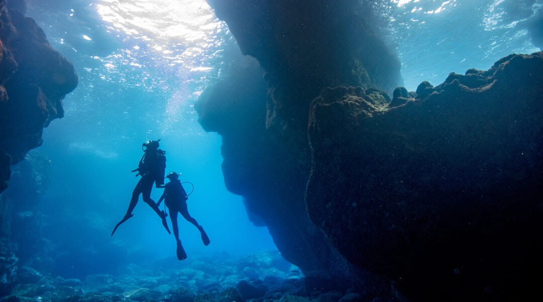 Special Offer for NEW PADI DMs to become PADI Instructors