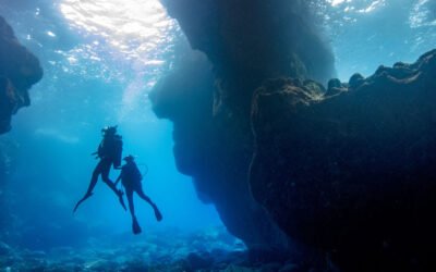 Special Offer for NEW PADI DMs to become PADI Instructors