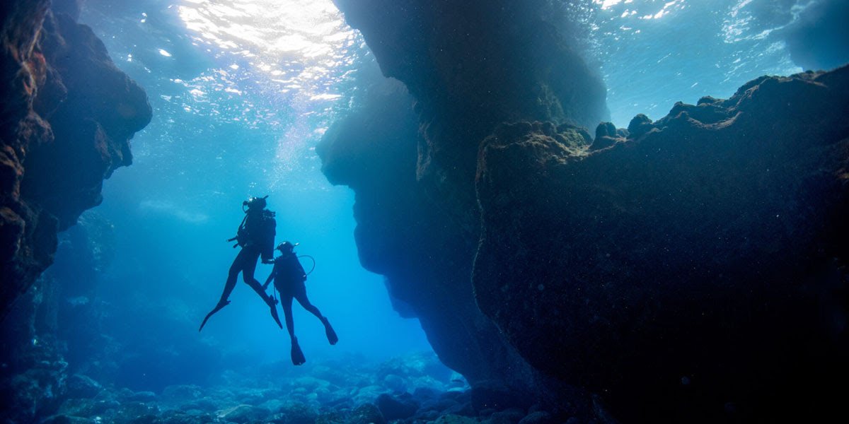 PADI special offer