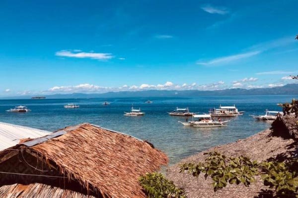 Neptune diving resort 2 Neptune diving resort