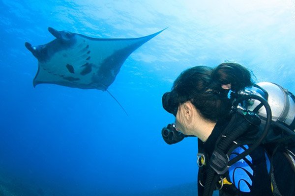 PADI IDC Komodo