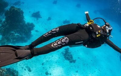 Tauchlehrer werden: Hast du das Zeug dazu?