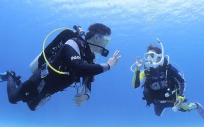 What Most PADI IDCs Don’t Teach – How do your students really feel?
