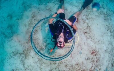 Bringt dir dein PADI IDC die falschen Skills bei?